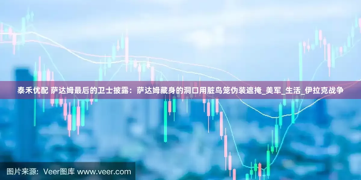 泰禾优配 萨达姆最后的卫士披露：萨达姆藏身的洞口用脏鸟笼伪装遮掩_美军_生活_伊拉克战争