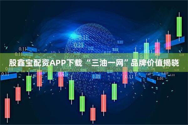 股鑫宝配资APP下载 “三油一网”品牌价值揭晓